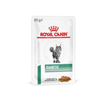 Royal Canin Diabetic Диабетик Корм влажный диета для взрослых кошек при диабете соус 85г