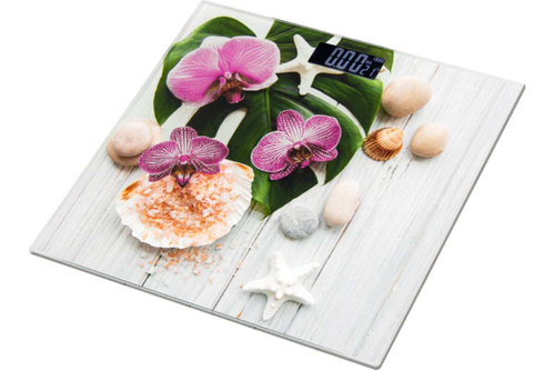 весы напольные Atlanta ATH-6143