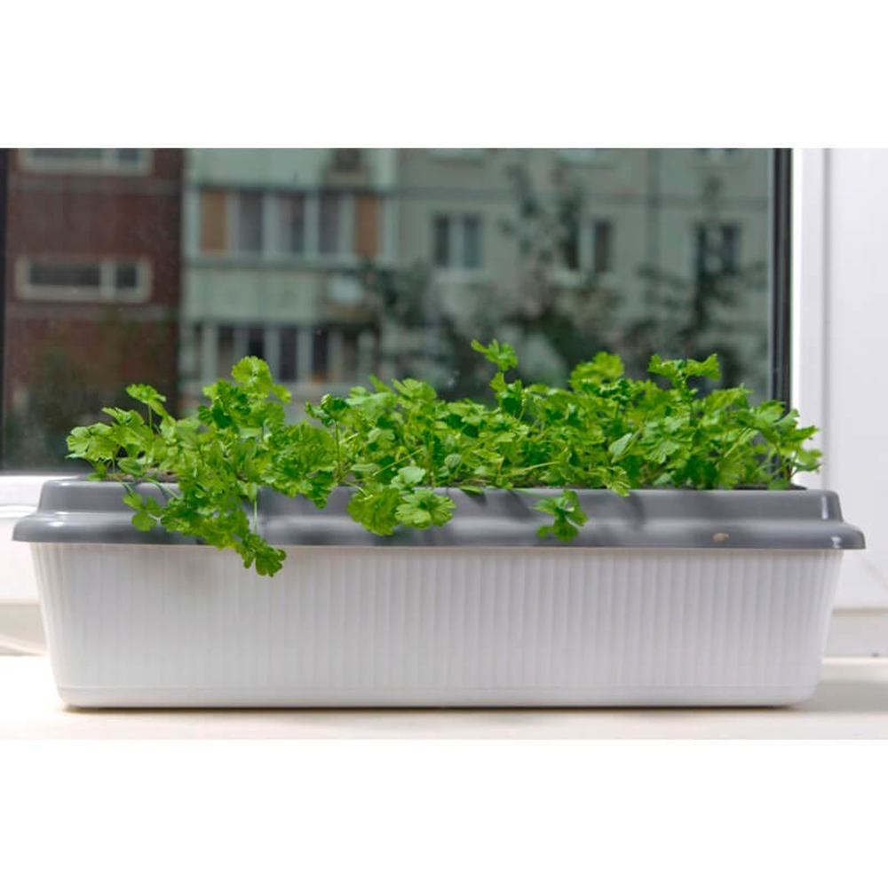 Чудо грядка