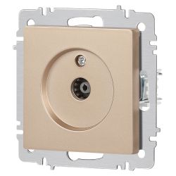 Розетка Intro Accent 6-301-04 TV одиночная, IP20, СУ, шампань