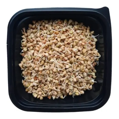 Проростки зелёной гречки "Зелень шмелень", 100 г