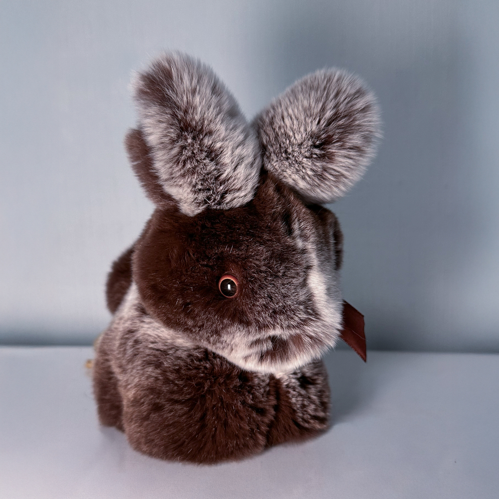 Кролик Тоша маленький (коричневый с белым) - уникальный окрас