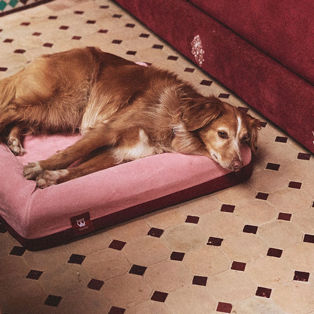 Лежанка Zee.Bed NAJIMA Zee.Dog