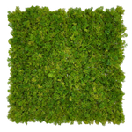 Искусственный мох ягель силикон 50Х50 см.