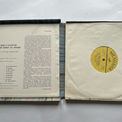 Винтажная виниловая пластинка LP Astrid Lindgren Малыш И Карлсон, Который Живет На Крыше (СССР 1980)
