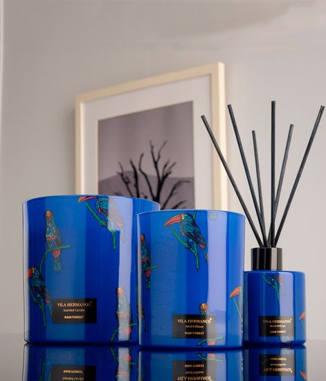 Blue Butterfly, аромадиффузор Jungletopia collection, Vila Hermanos