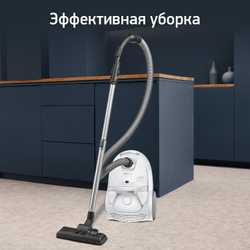 Пылесос с пылесборником Tefal Compact Power TW3927EA