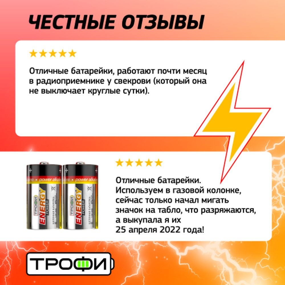 Батарейки Трофи LR20-2BL ENERGY POWER Alkaline