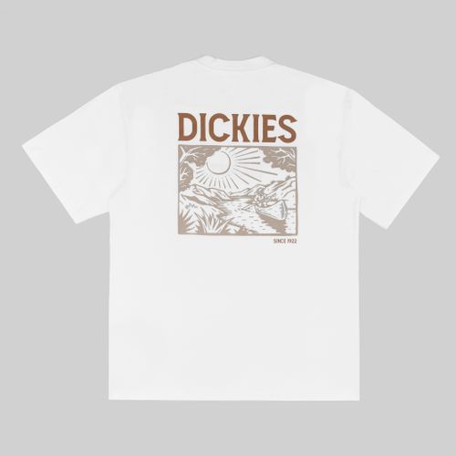 Футболка мужская Dickies Patrick Springs Tee артикул:DK0A4YR7WHX1 - купить в магазине Дайс