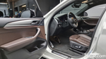 BMW X4 (G02) xDrive20d M Sports (07.2020)