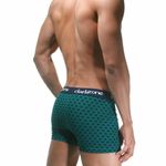 Трусы мужские боксеры зеленые DARKZONE DZN2311