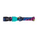 Ошейник WOOZER Zee.Dog