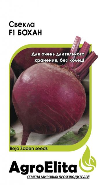 Свекла