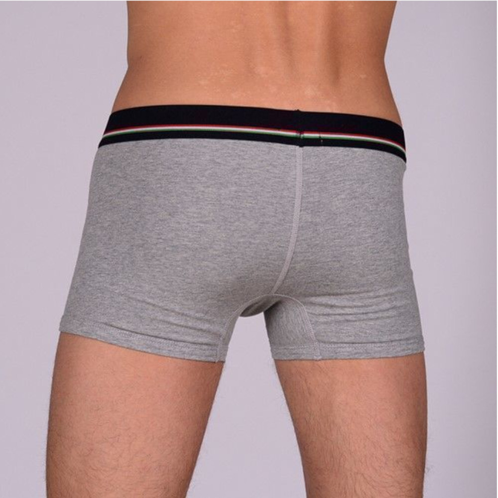 Мужские трусы боксеры серые Dolce Gabbana Italy Boxer