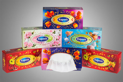 Салфетка «Карина» в коробке (косметическая)