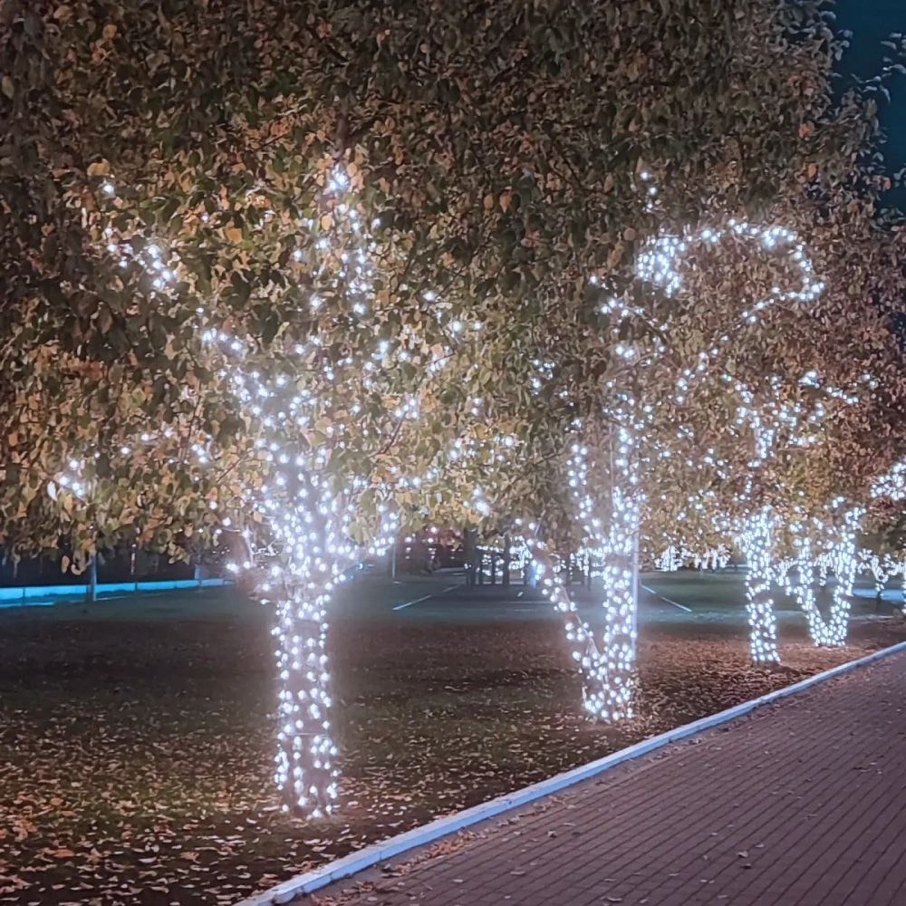 Гирлянда для улицы 15м 180 ламп LED чёрный провод, 8 реж, IP-54, Белый (возможность соединения)