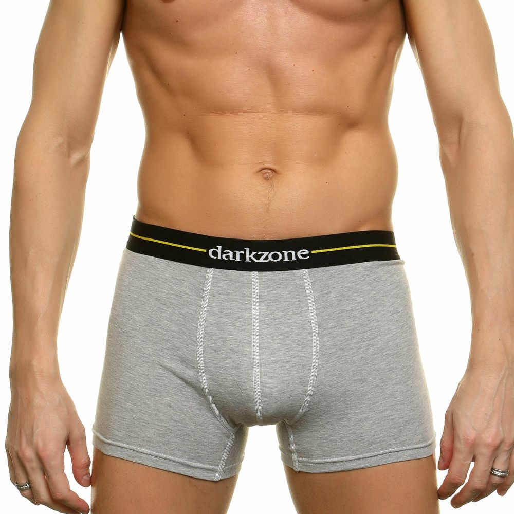 Мужские трусы боксеры серые Darkzone DZN2053