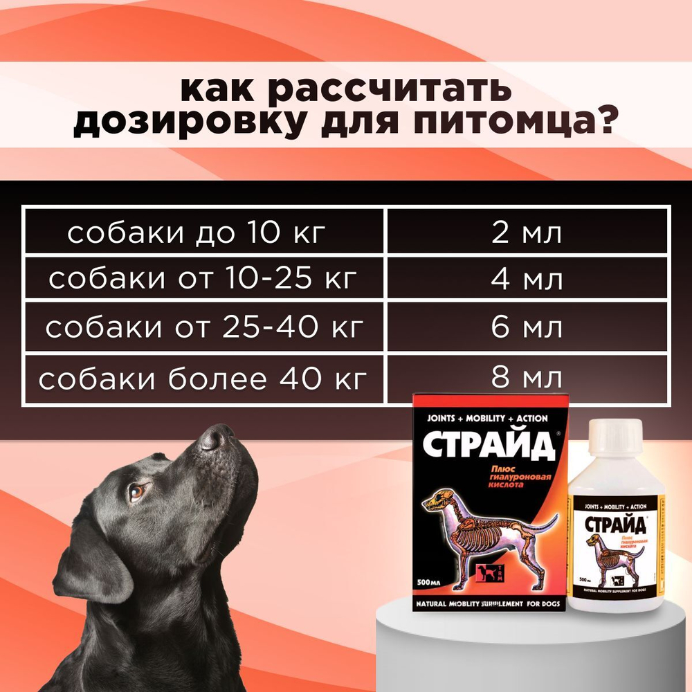 Кормовая добавка для лечения и профилактики заболеваний суставов STRIDE PLUS для собак, 500 мл