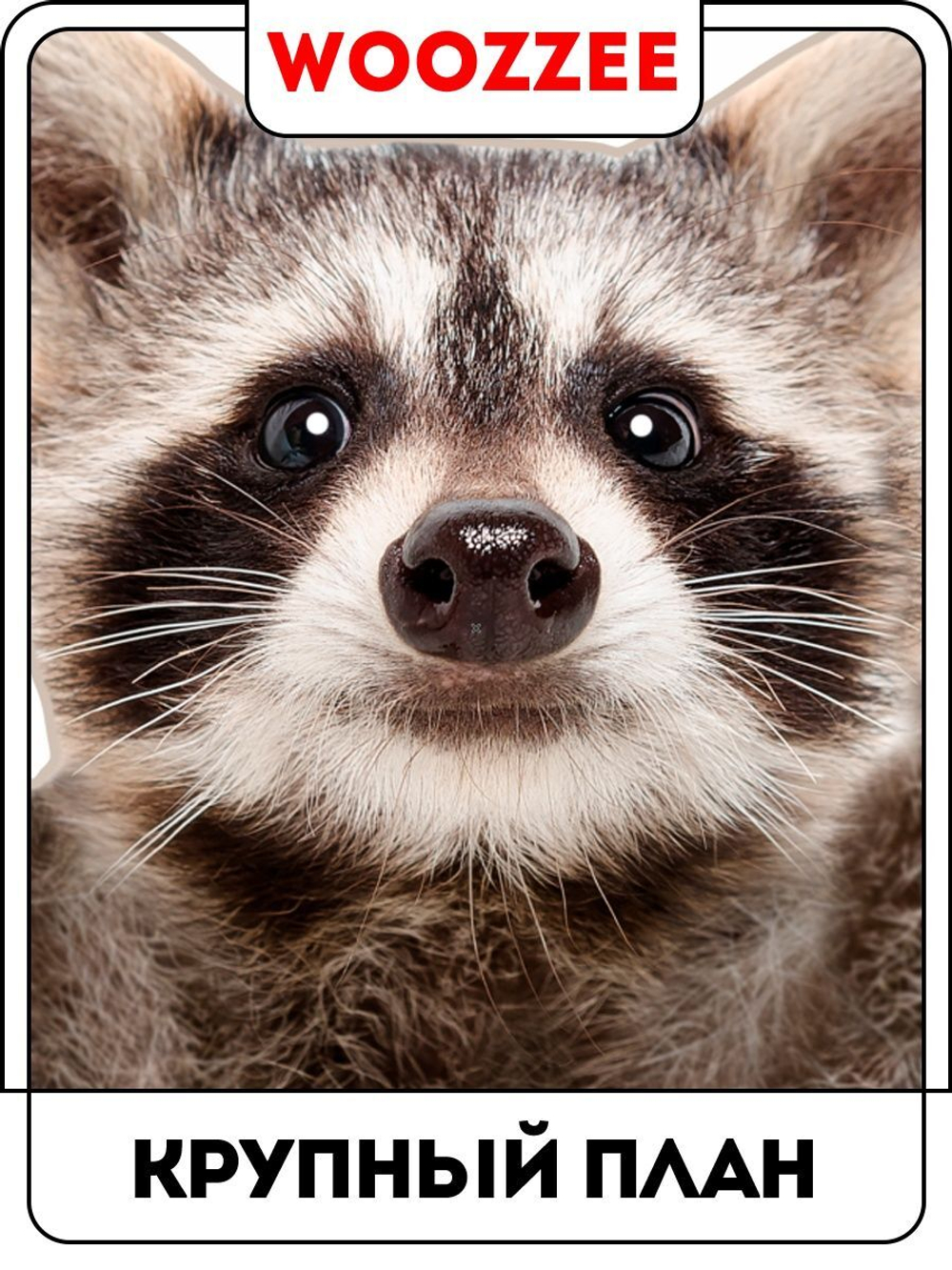 Наклейка декоративная А3 "Лапы вверх!"