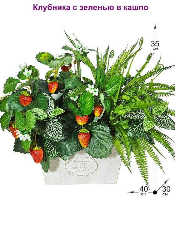 Композиция Клубника с зеленью 40см в кашпо