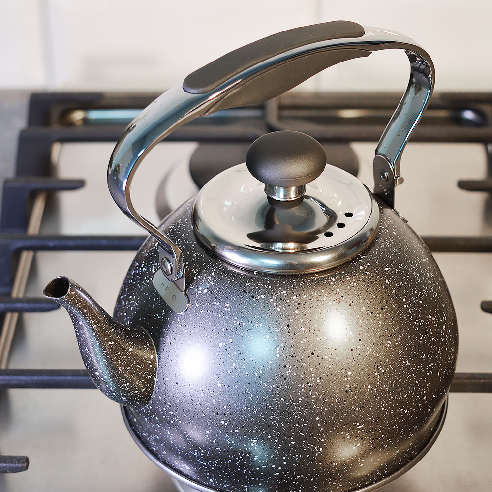 Чайник 1,2 нерж, матовый, индукция "Daniks" GS-04592C-1.2L