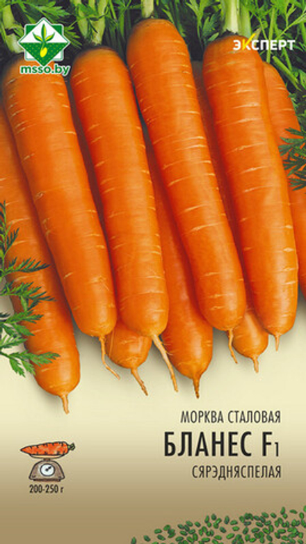 Морковь "Бланес F1" 0,3г, Нидерланды.