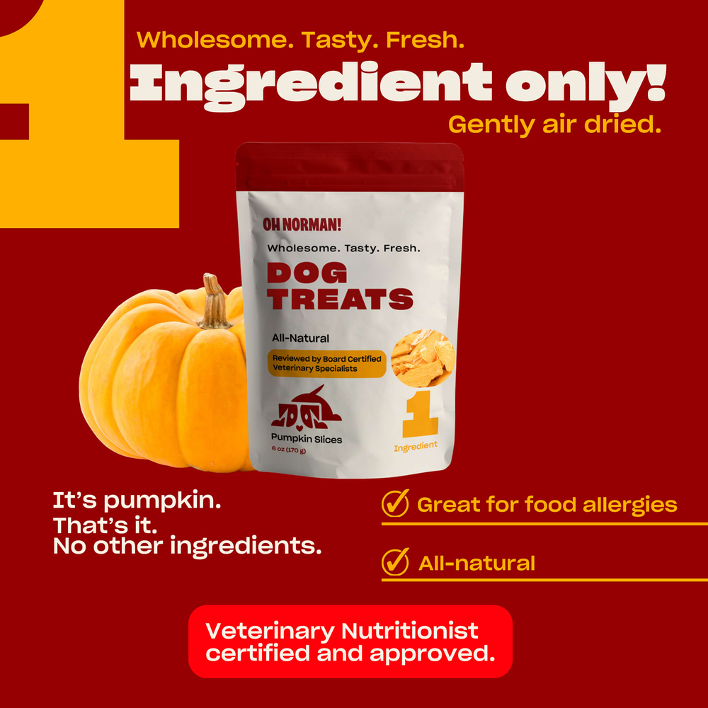 Oh Norman, лакомство для собак, с кусочками тыквы, 170 г (6 унций)