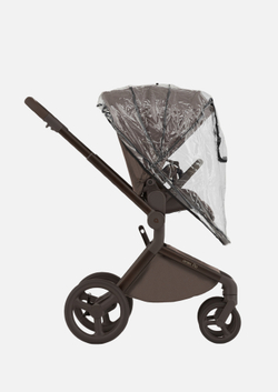 Anex Детская коляска Flo 2 в 1 Browny