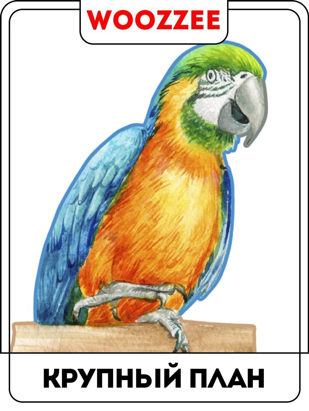 Наклейка декоративная "Попугаи"