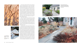 Plants for the Winter Garden