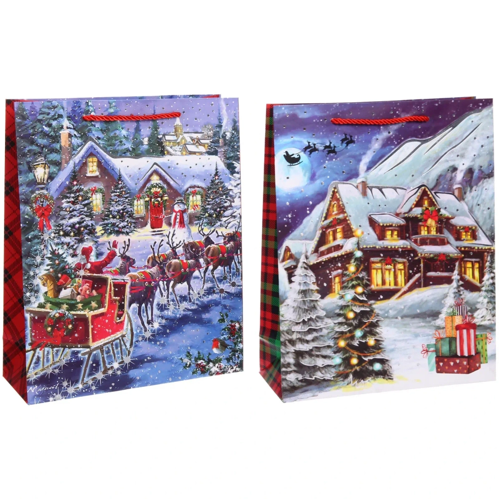 Пакет подарочный «Лучшие друзья» 26*32*10 см, микс