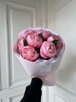 Букет 7шт пионов