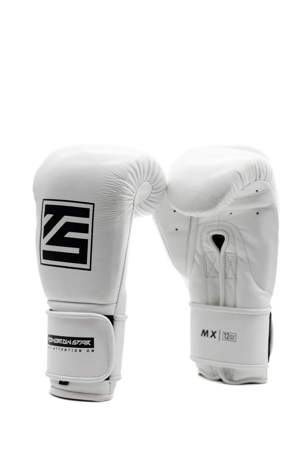 Перчатки для бокса Tomorrow Star MX белые
