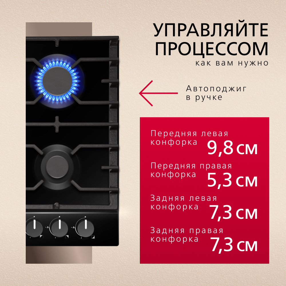 Газовая панель Hansa BHGS630301