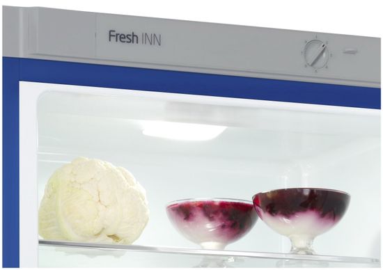 Холодильник Snaige RF53SM-S5CI210 (D91Z1C5SNBX)