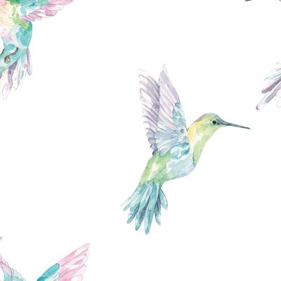 Колибри. Акварельный паттерн