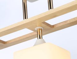 Ambrella Подвесной светильник Modern TR9505