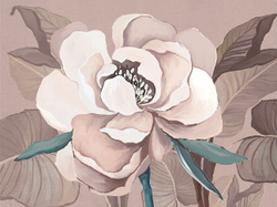 Коллекция SOLO