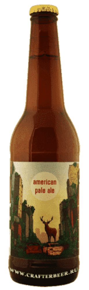 Stamm Beer American Pale Ale 0.5 - стекло(10 шт.)