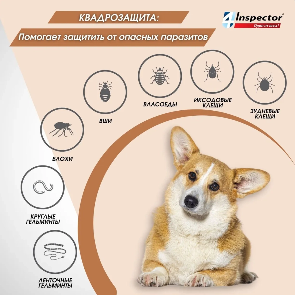 Инспектор КВАДРО капли для собак 40-60 кг №3 (3 ПИПЕТКИ)