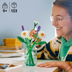 LEGO Botanicals - Маргаритки 11508