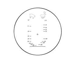 Бинокль Sturman 10x50 с сеткой зелёный - фото 5