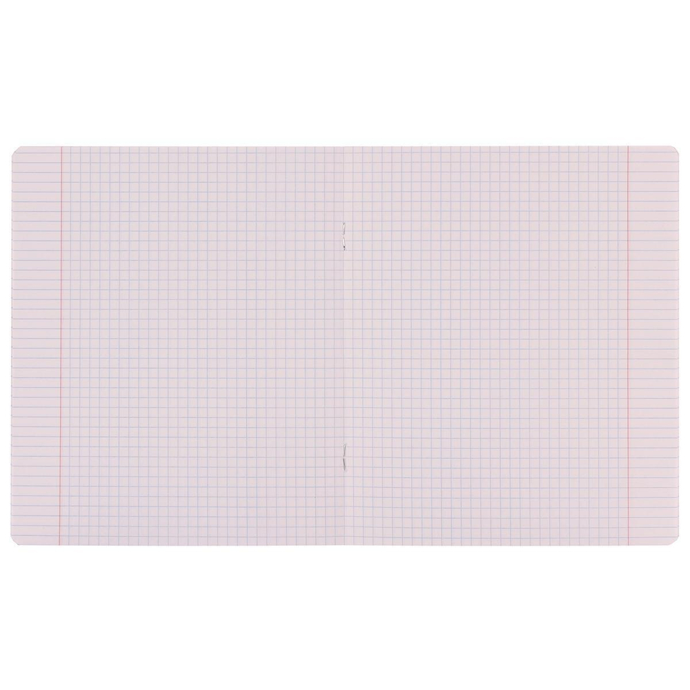 Тетрадь школьная А5 18л клетка, классика зеленая "Bright" (Erich Krause)