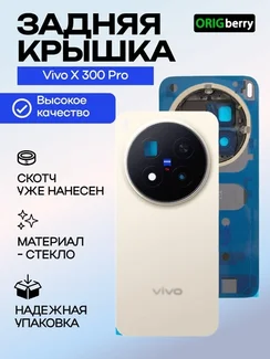 Задняя крышка для Vivo X300 Pro титановый (Titanium / Grey) со стеклом камеры