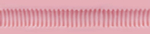 Мастурбатор Fleshlight Pink Lady Super Ribbed