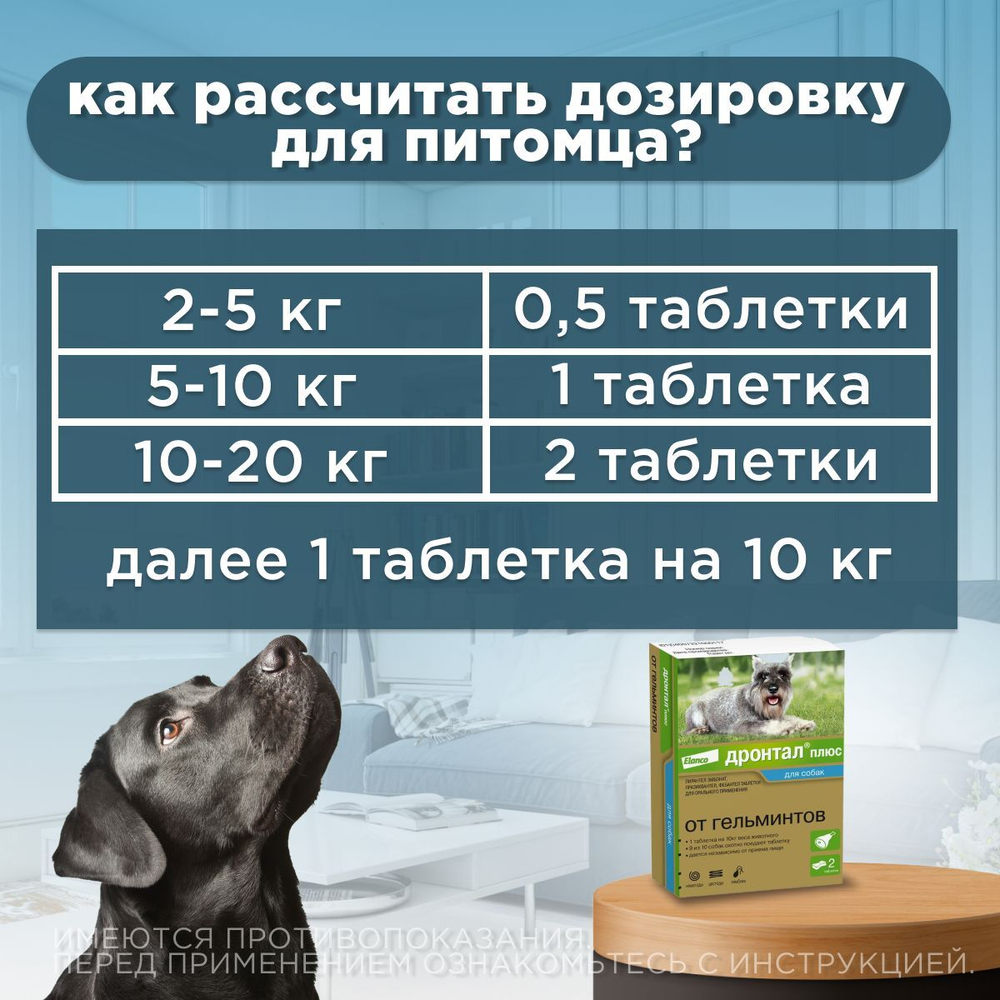 Таблетки для собак от гельминтов и лямблий со вкусом мяса Дронтал плюс , 2 таблетки в упаковке. Фебантел/Пирантел/Празиквантел