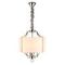 Подвесная люстра Aployt Romilda APL.732.16.05