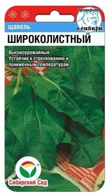 Щавель