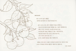 The Story of a Girl in the Forest. Post Card. Coloring Book