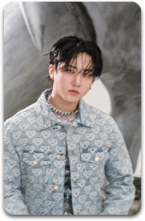 Карта / STRAY KIDS #1560